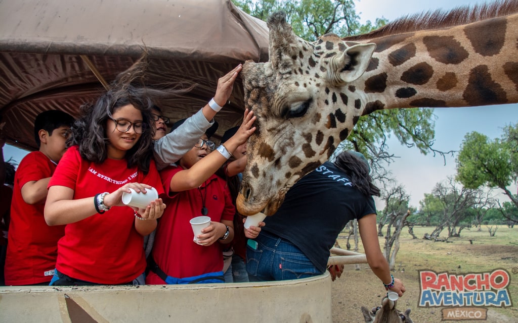 Excursiones escolares